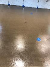 Urethane top coat applied over 1st and 2nd broadcast.  Urethane top coat applied to floor and cove base.